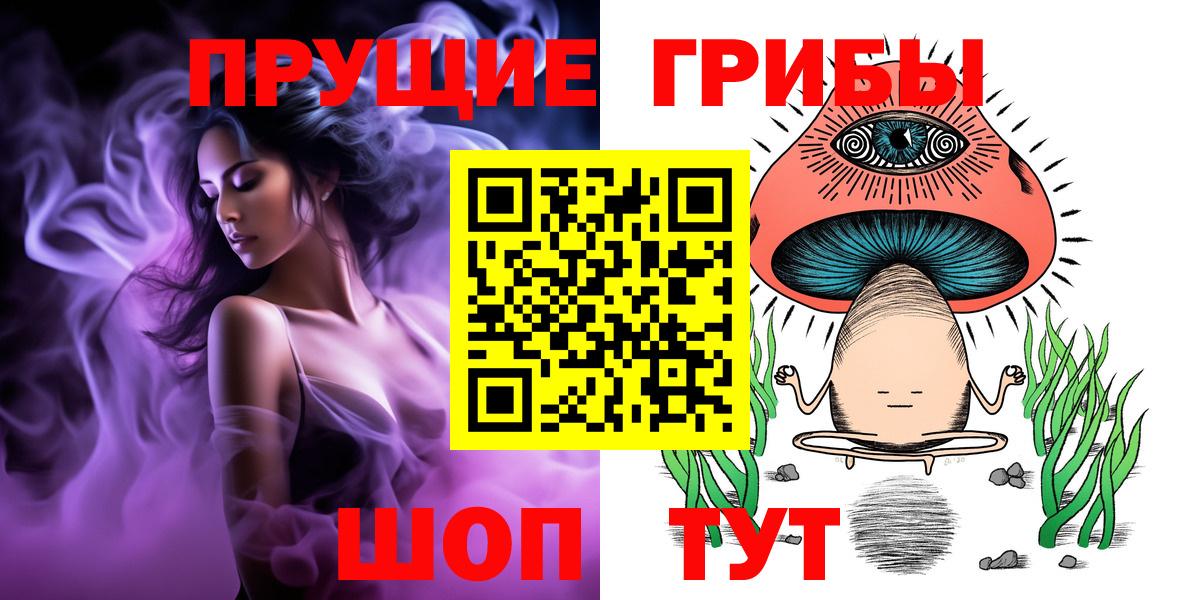 Холмск  Псилоцибиновые грибы Cubensis  Вход с VPN 